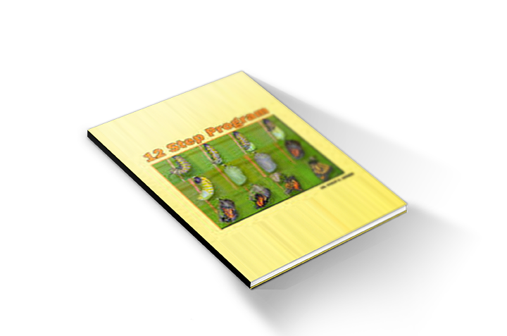 12 Step Program